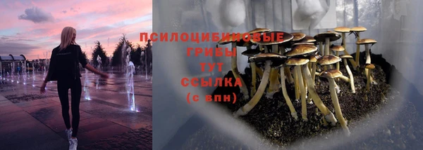 бошки Михайловск
